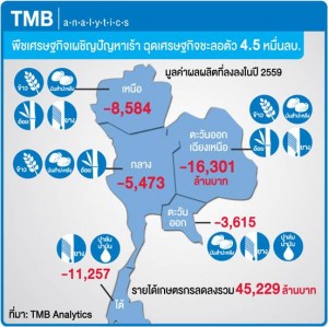 TMB Analytics คาด ปี 2559 ราคาพืชเศรษฐกิจตกต่ำ