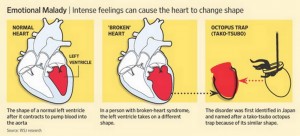 Broken Heart Syndrome 1