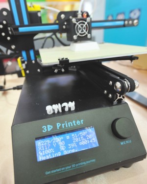 3D Printer (1)