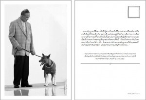 โปสการ์ดของพ่อ (7)