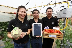 Resize of dtac's smart farm exec1