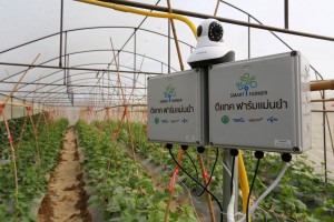 Resize of dtac's smart farm solution